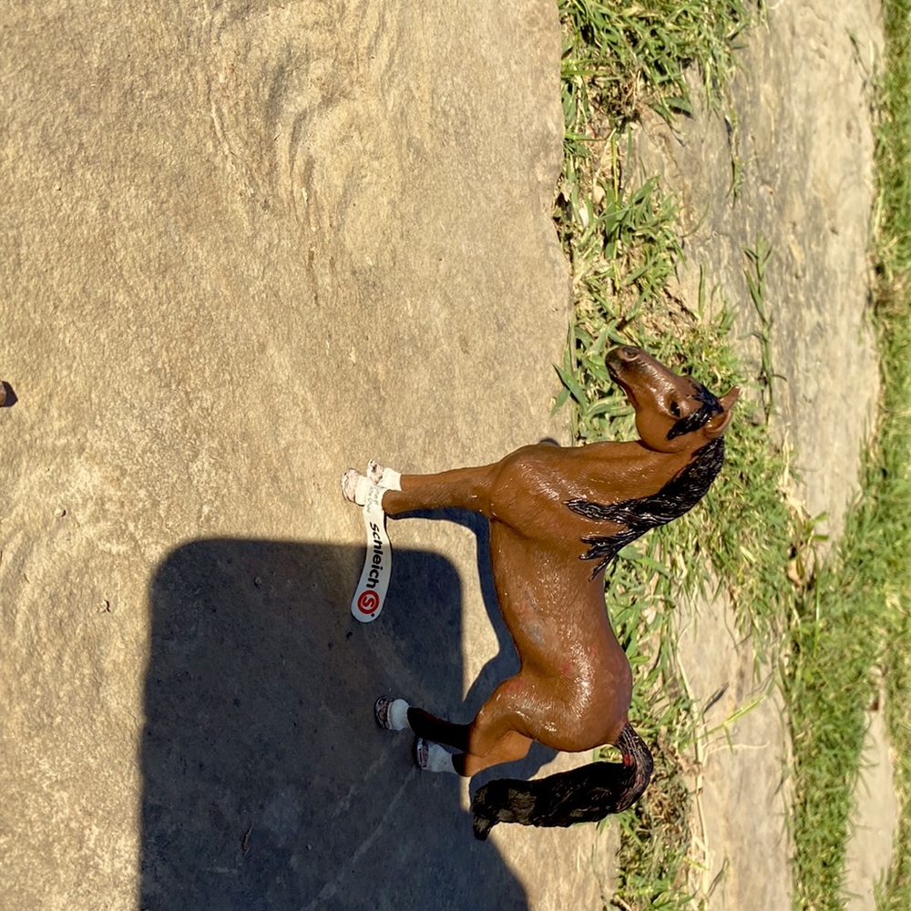 #Schleich bay stallion a little bit dirty but still a good fun figure for all.ty